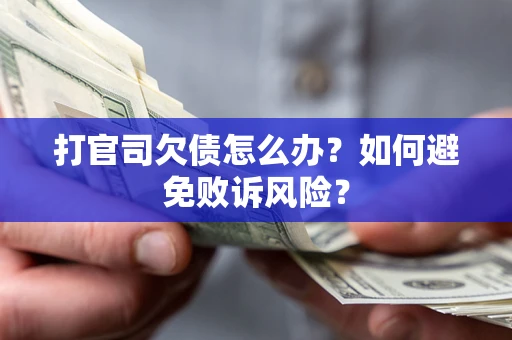 北京打官司欠债怎么办？如何避免败诉风险？