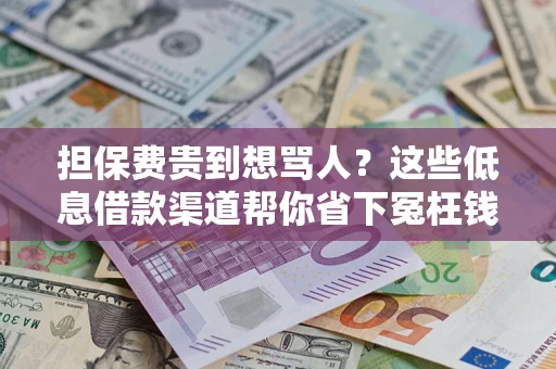 北京担保费贵到想骂人？这些低息借款渠道帮你省下冤枉钱