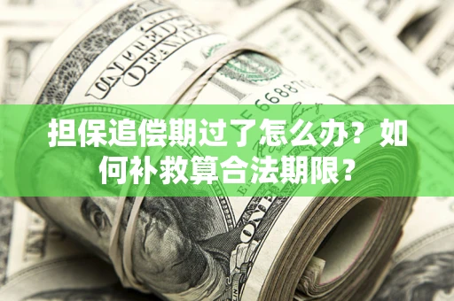 北京担保追偿期过了怎么办？如何补救算合法期限？