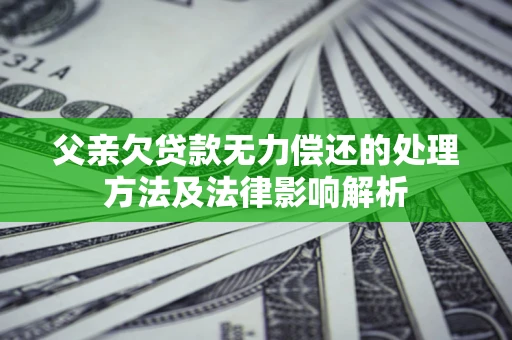 北京父亲欠贷款无力偿还的处理方法及法律影响解析