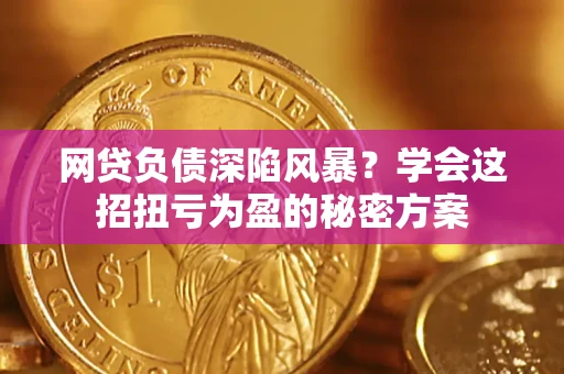北京网贷负债深陷风暴？学会这招扭亏为盈的秘密方案