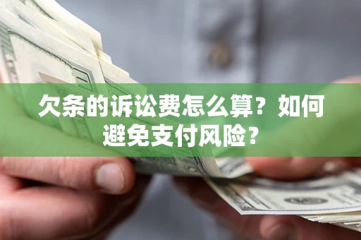 北京欠条的诉讼费怎么算？如何避免支付风险？